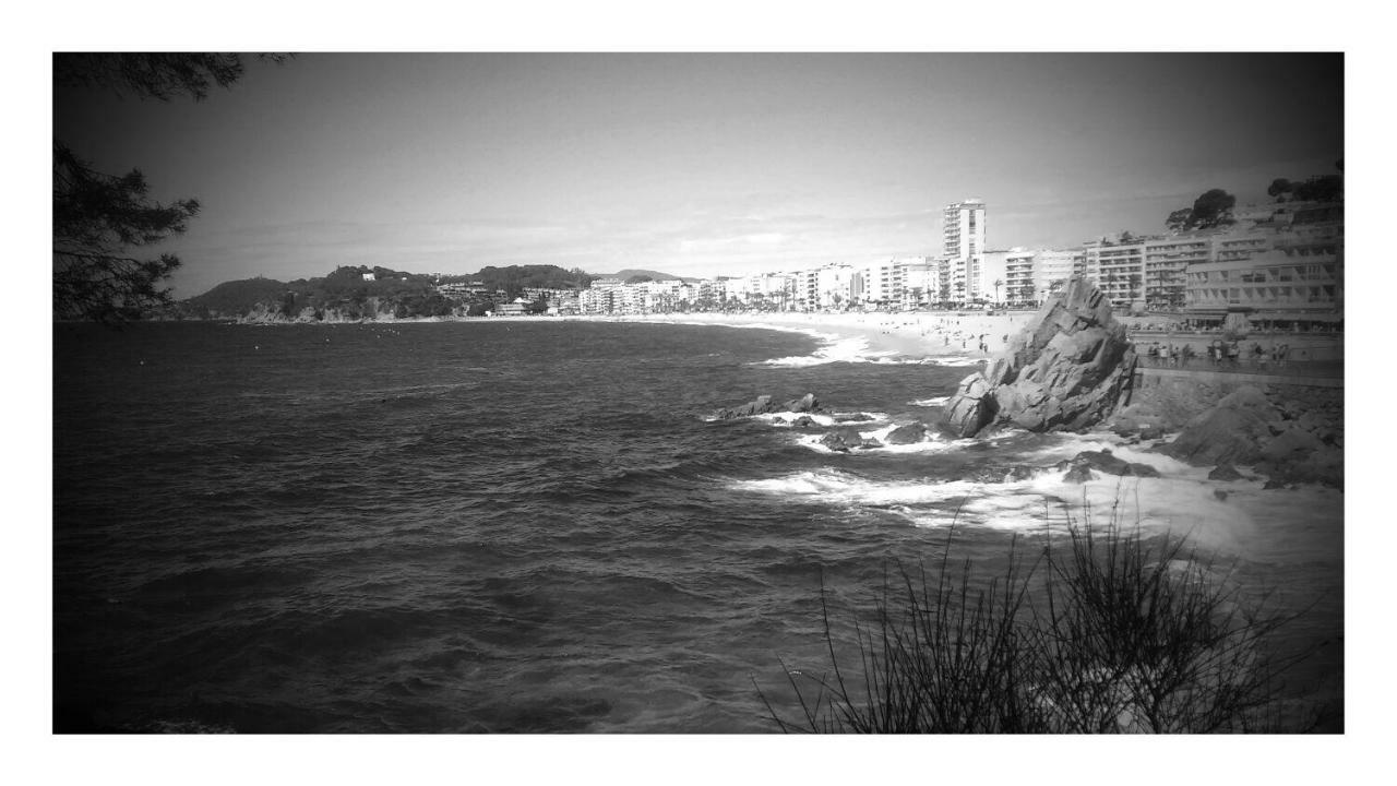 Penisqueira Διαμέρισμα Ribeira Εξωτερικό φωτογραφία